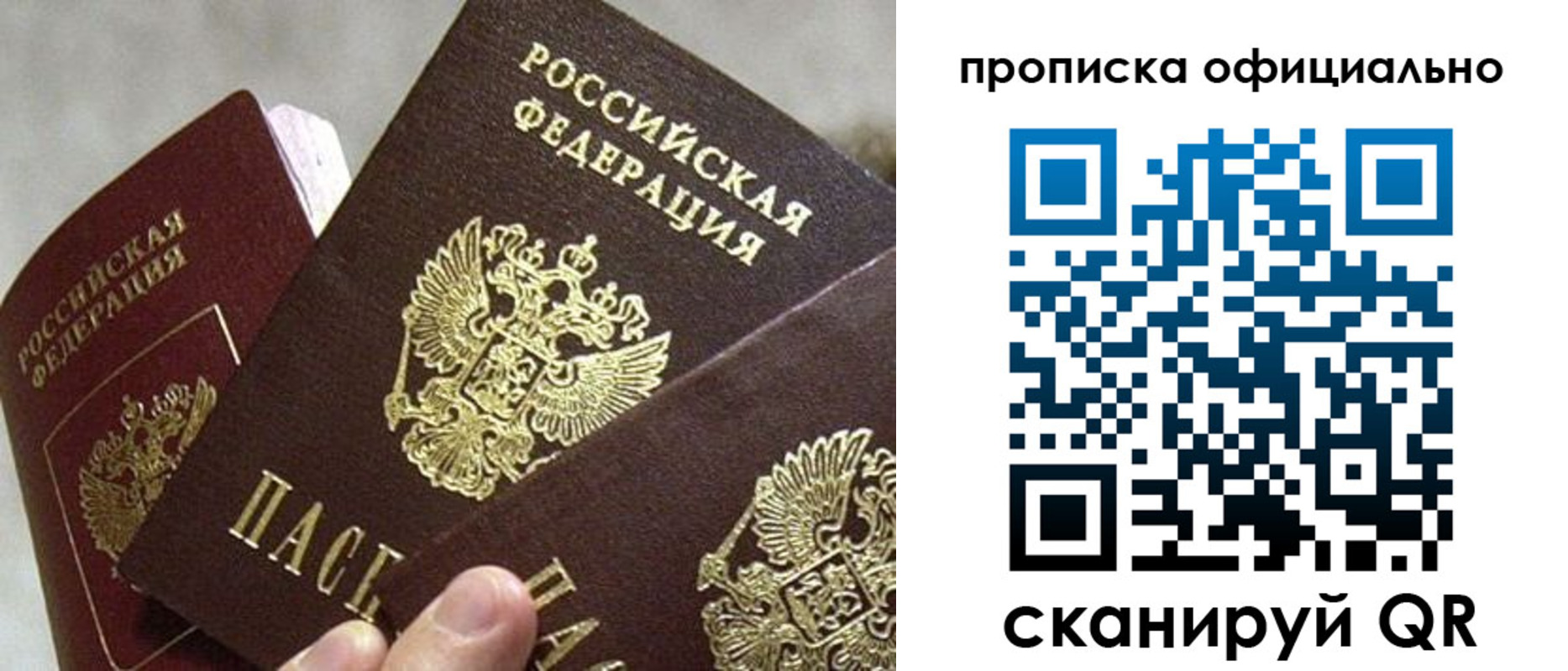 прописка гарантия в Дятьково